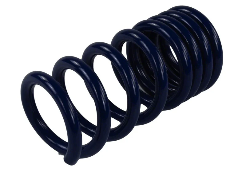 Ford Racing 2015-2017 Mustang GT350 Lowering Springs - Image 5