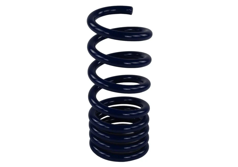 Ford Racing 2015-2017 Mustang GT350 Lowering Springs - Image 9