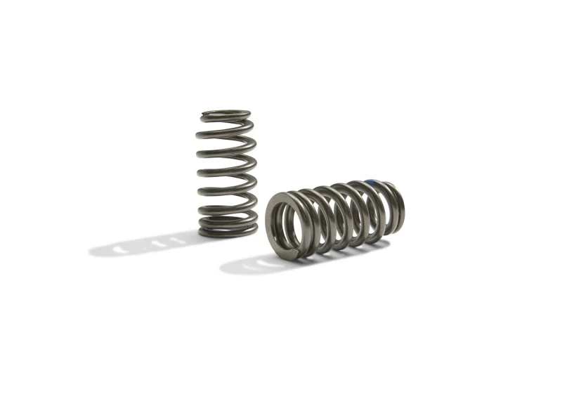 Ford Racing BOSS 302R Valve Spring Kit - Image 4