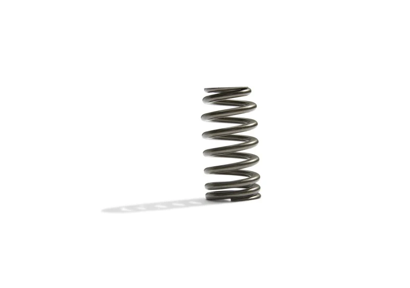 Ford Racing BOSS 302R Valve Spring Kit - Image 5