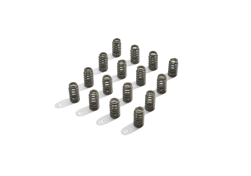 Ford Racing BOSS 302R Valve Spring Kit - Image 7