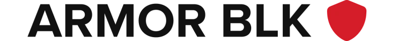 MBRP 15-19 Ford Mustang EcoBoost 2.3L Black 3in Cat Back Dual Split Rear Exit (Race Version) - Image 3